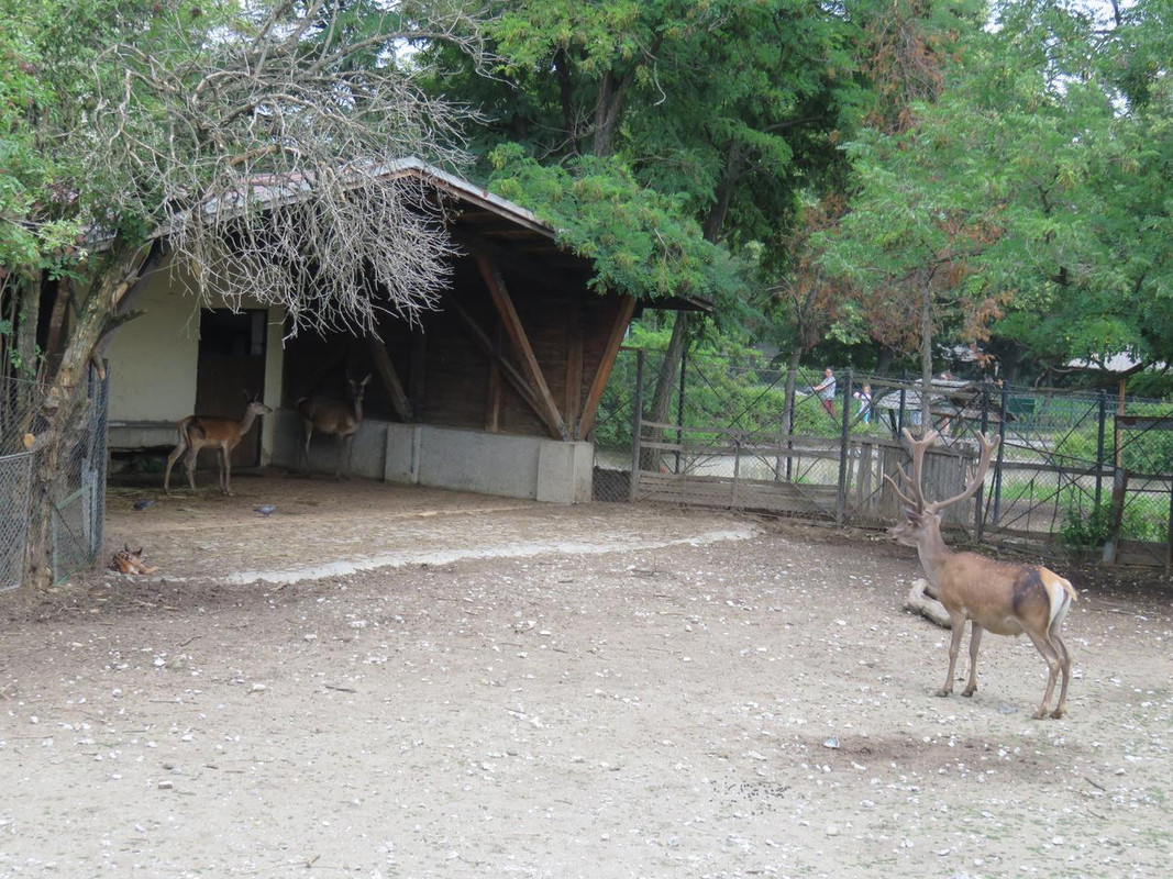 IMG 0163 — Postimages