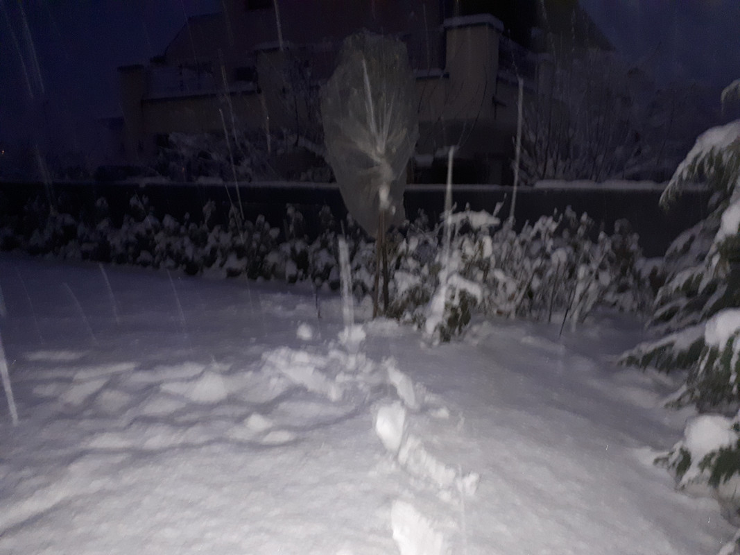 20190201_174514