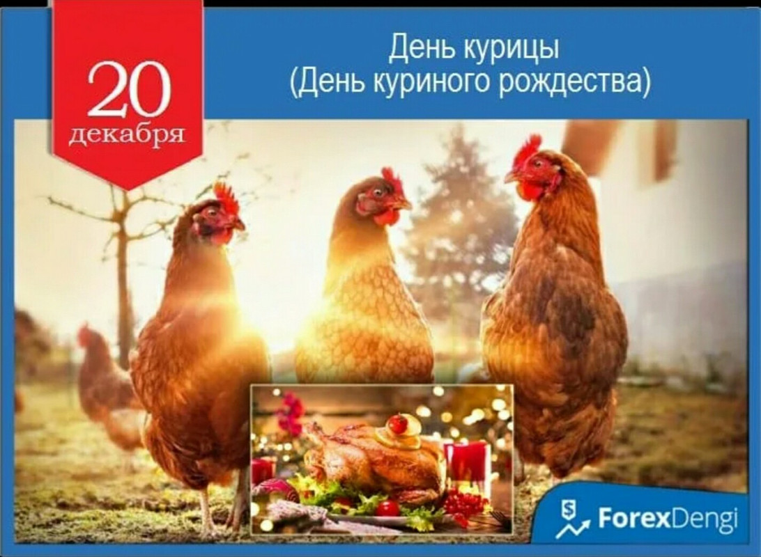_20231220_155334