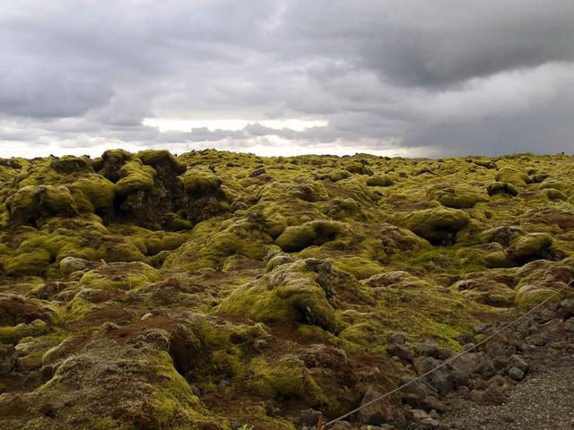 ISLANDIA en 11 DÍAS con 4x4 - Agosto 2016 - Blogs de Islandia - DÍA 3 (12/08/2016) –De Hella a Skaftafell por todo el sur (23)