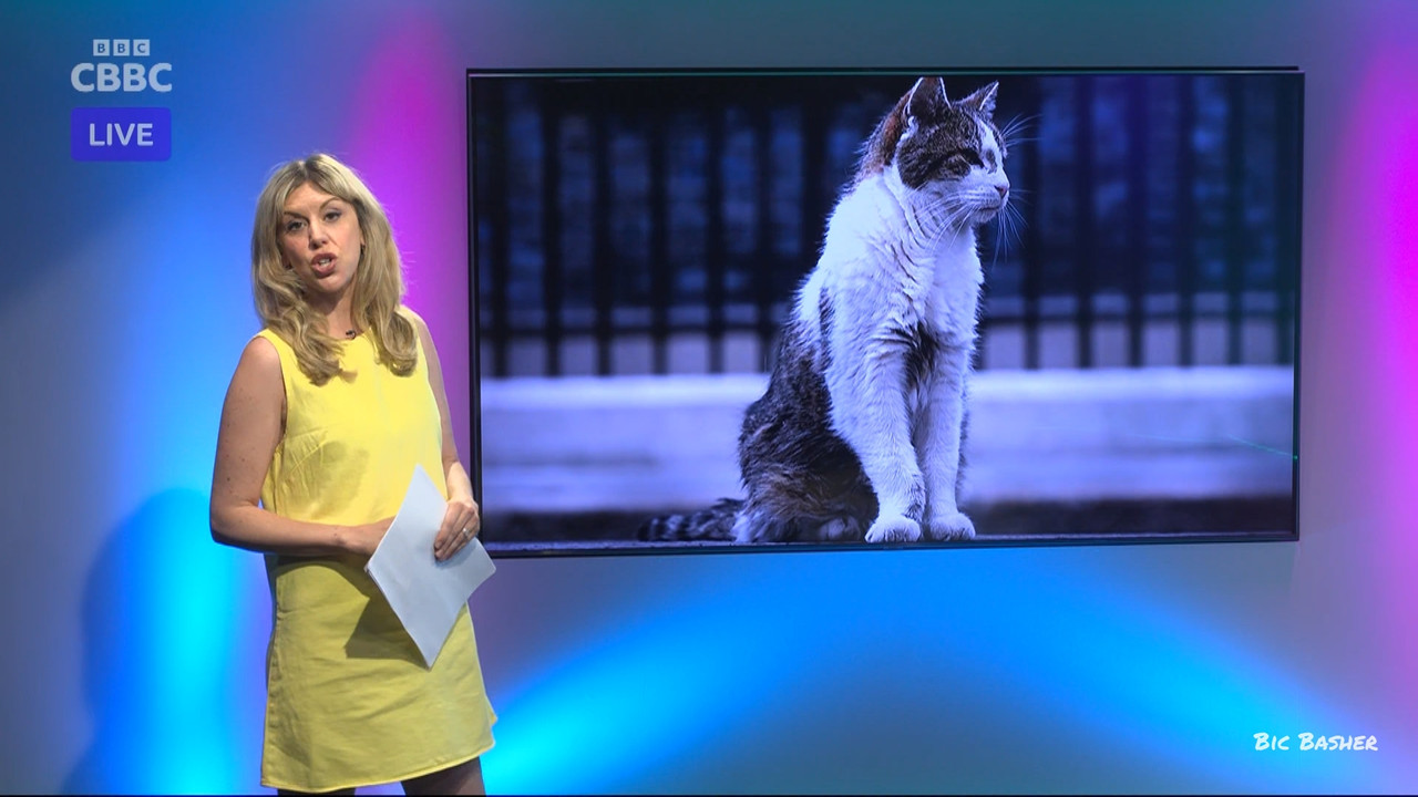 Newsround 20260728 07450755 ts snapshot 10 06 955