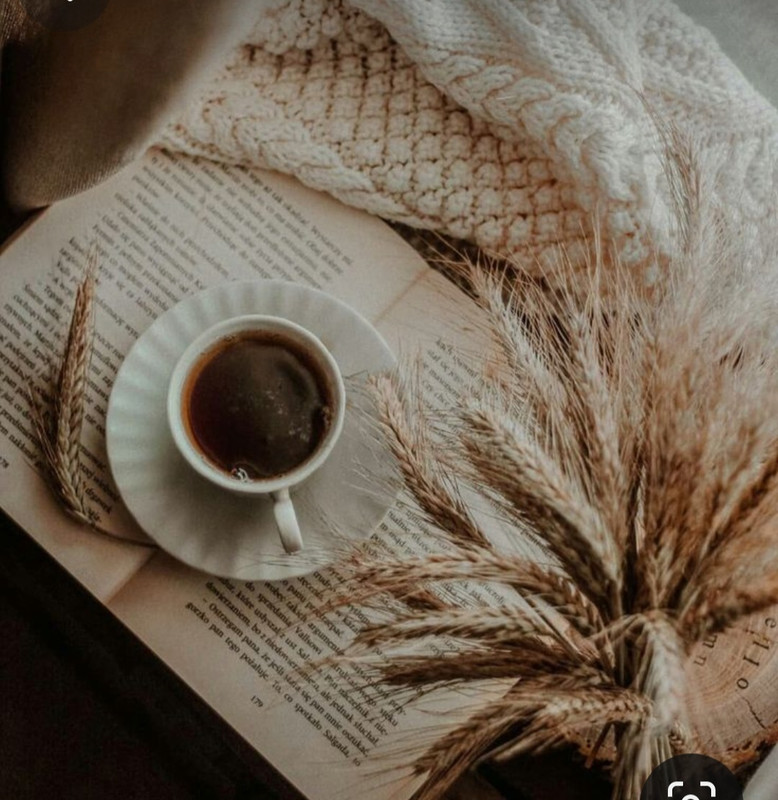 Screenshot_20230913_191506_Pinterest