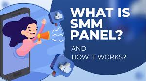 What is SMM PANEL