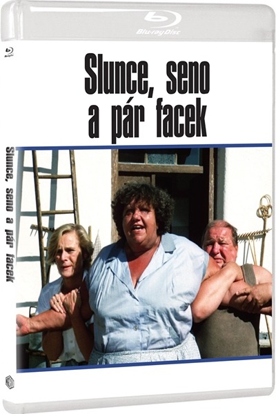 Slunce, seno a pár facek (1989)