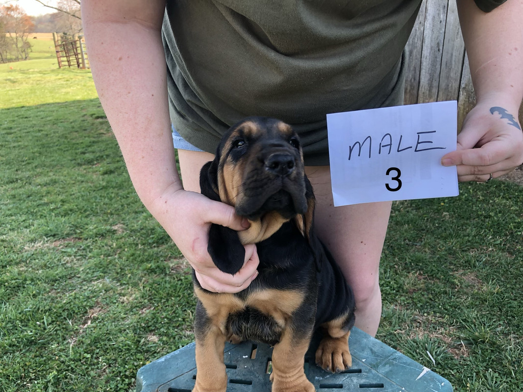 E55B0F15-A0F5-45F4-B967-16B76977880D