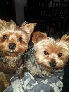 WhatsApp Image 2019-12-17 at 16.18.08