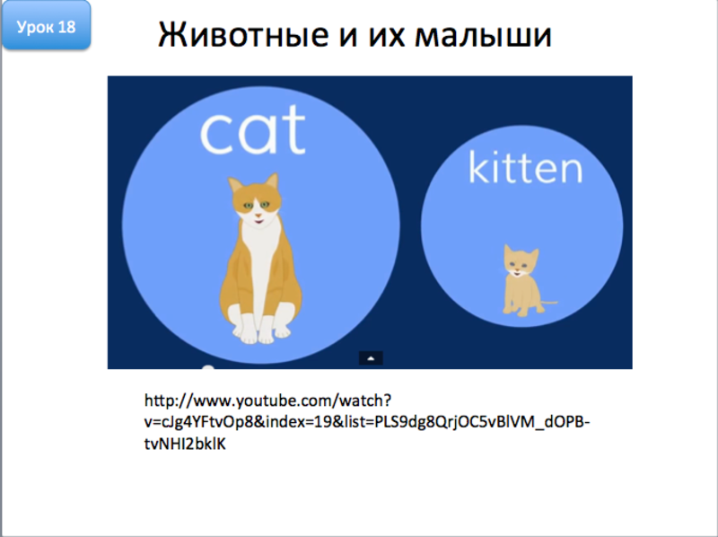 Снимок экрана 2015-05-03 в 23.24.33