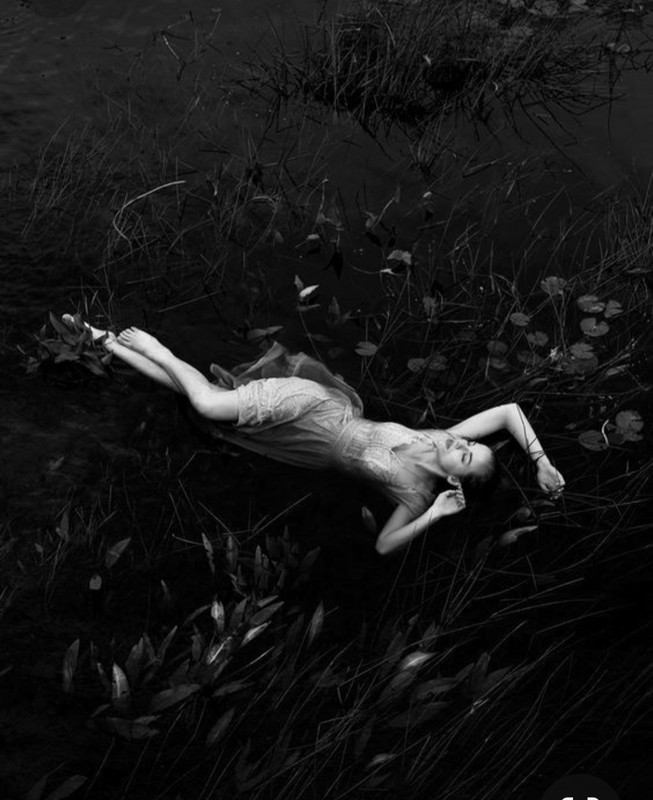 Screenshot_20240117_233054_Pinterest