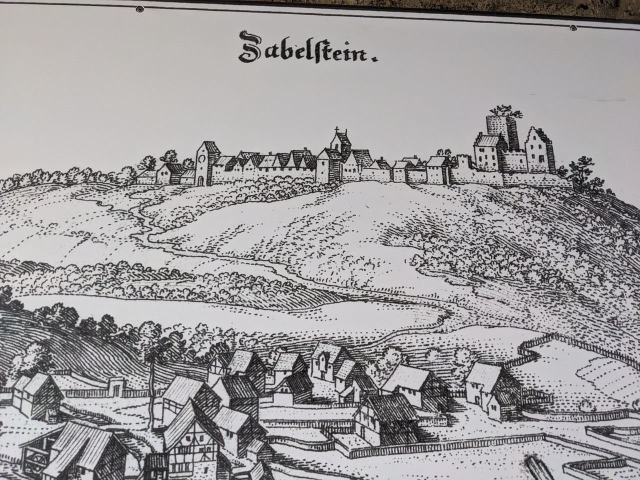 PXL 20250920 142450088