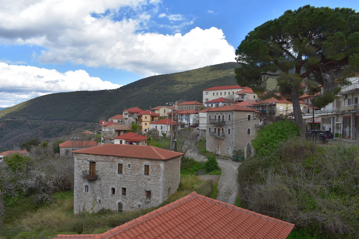 Ανδρίτσαινα