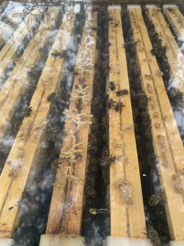 E50DA876-F494-4D05-AFFF-072D4ACBC5F8