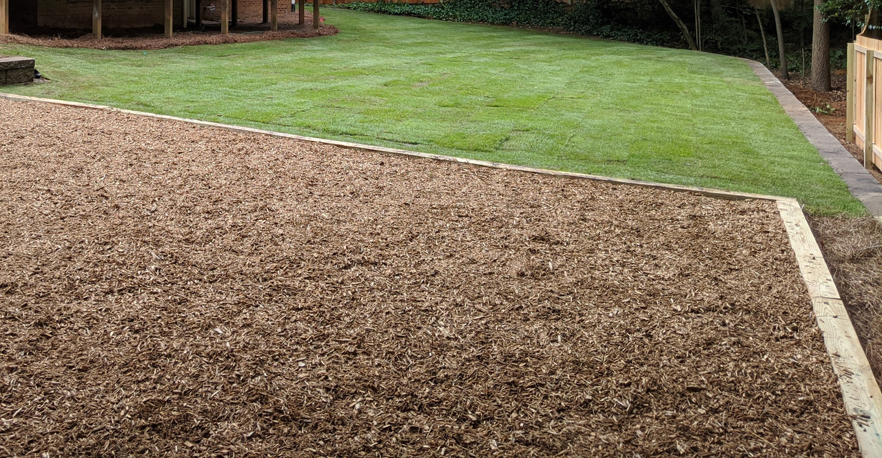 MVIMG_20200619_175900