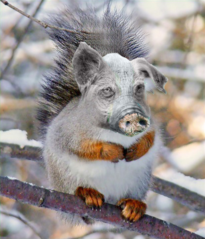 1290444897_belaya_goryachka