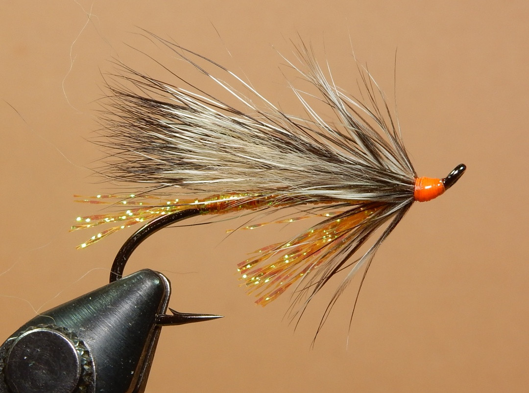 Orange_Foxy_1080.jpg