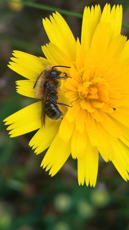 WP_20180606_12_53_02_Pro (2)