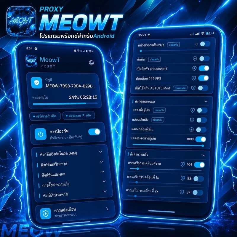 PROXY MEOW