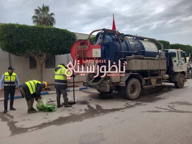 582057597-896839036154003-1399977997919735076-n