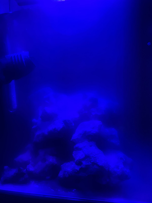 60CBDF20-58BA-4471-A4EC-682A21DB21B9