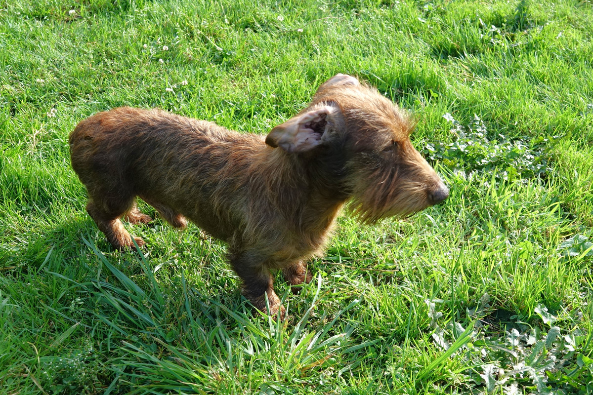 [Image: Od-on-5.jpg]