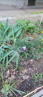 IMG_20230526_192721