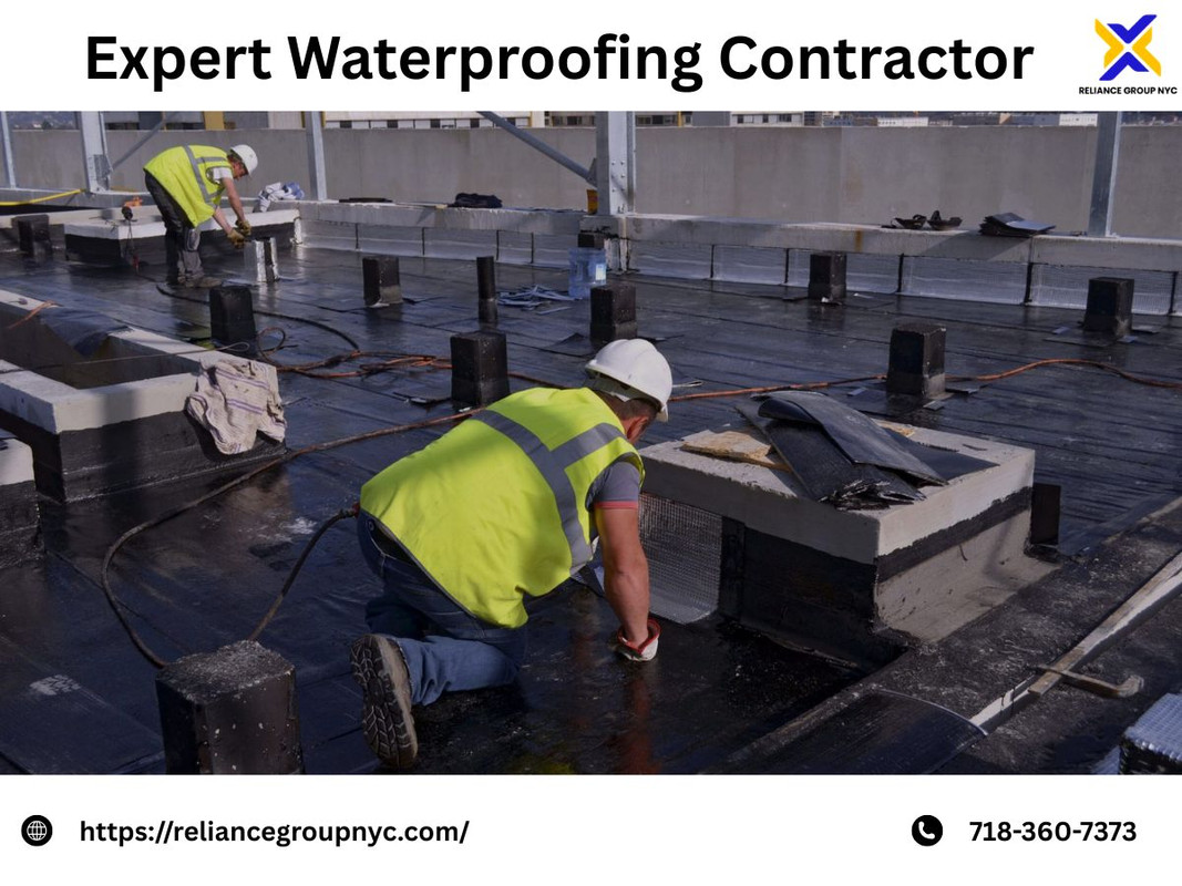 Expert Waterproofing Contractor Reliance