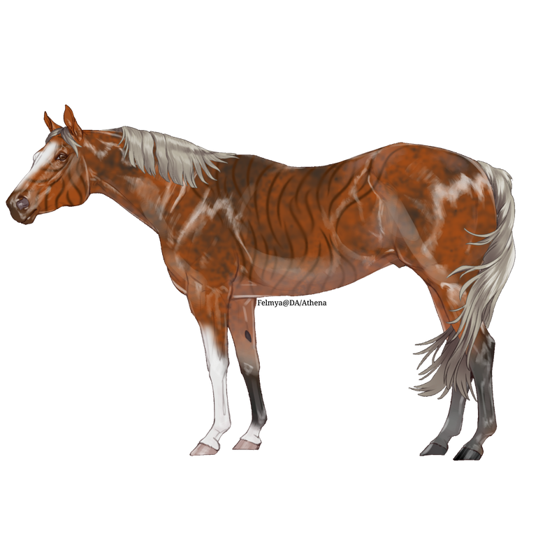 Untitled88-20250617141707.png