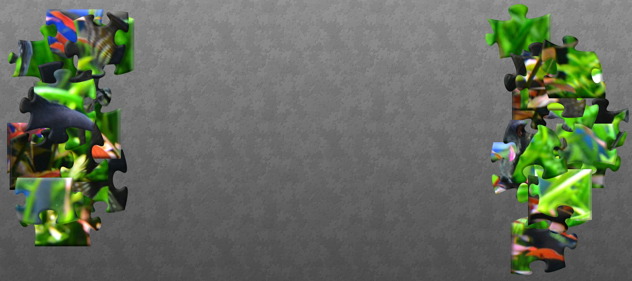 DeNiro-negro - (30 pieces)