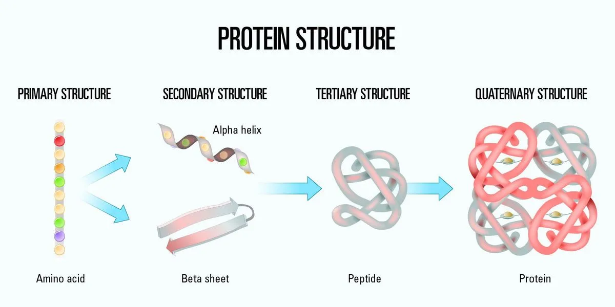 AI healthcare technology