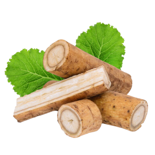 Burdock Root