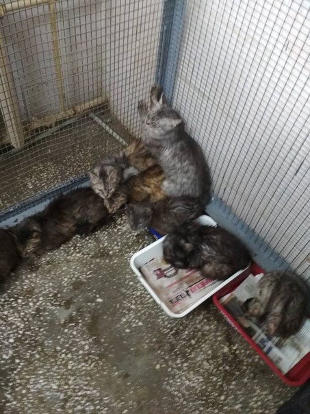 2771E1B7-01B6-4027-B249-8771AE2031D7