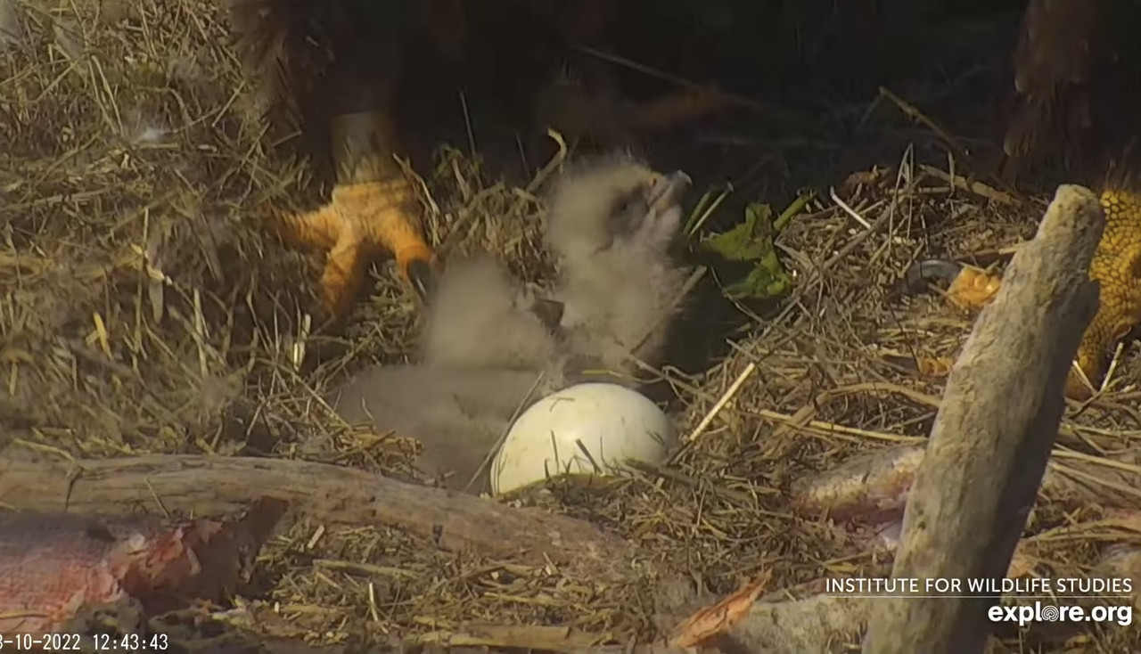 EAE72F14-3806-4E50-B672-55B74FE003E7