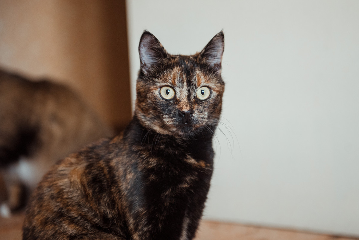 image-01-12-21-10-03-3 (1)