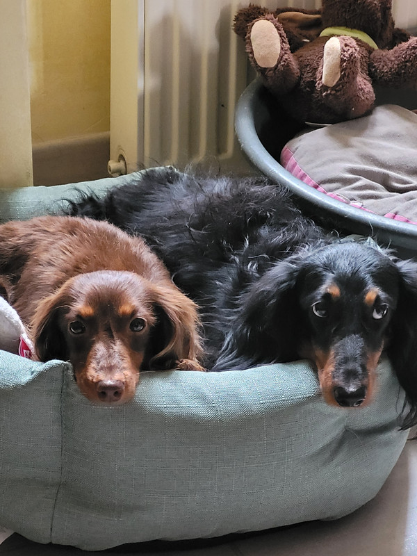 [Image: 20250219-131304.jpg]