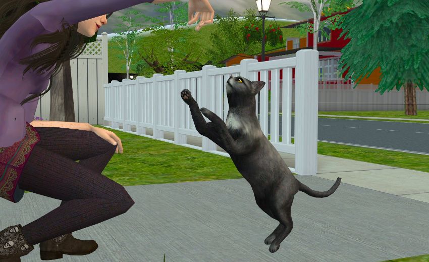 Sims2-EP9-2020-11-09-20-45-30-84