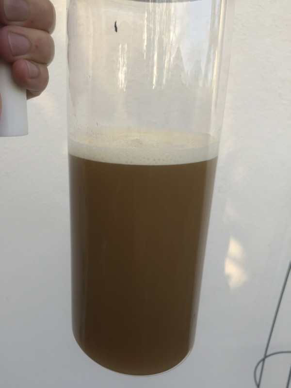 C2825855-D0F0-44AD-92F7-87ECC093EB8C