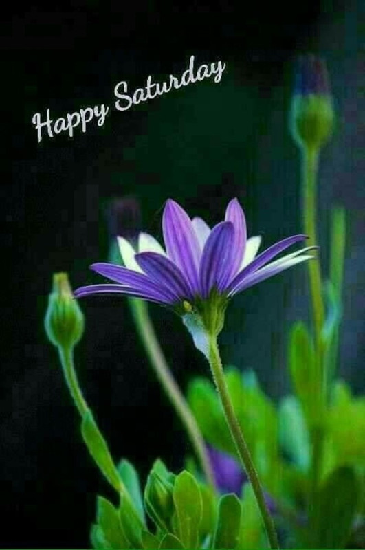 An den Beitrag angehängtes Bild: https://i.postimg.cc/4dLt0G22/oie-3081430-Lr-Wz-KLMs.jpg