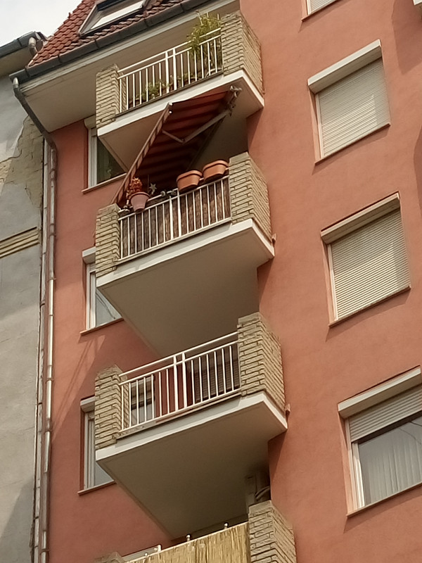 Kép