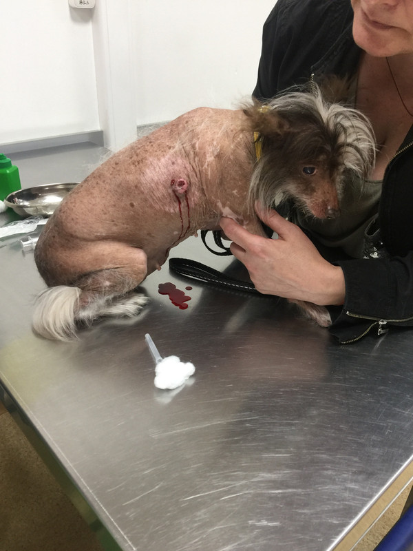 8FB7A8BD-4D71-40AA-A0BD-DA2C91C94A91