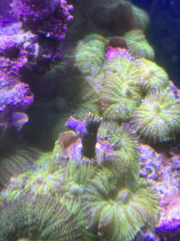 901A3A8C-B1BD-423F-A131-749DF60C7CF2