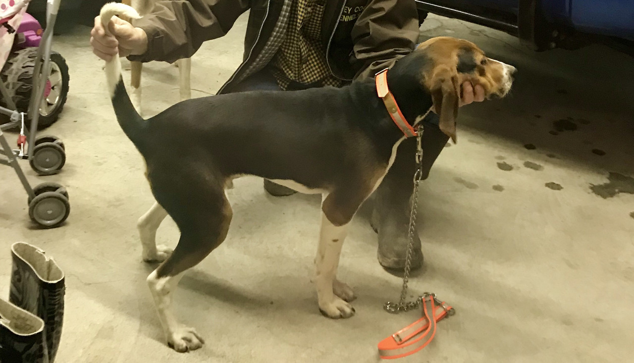 491C62B1-46E0-4FF0-A1B2-25488B573A85