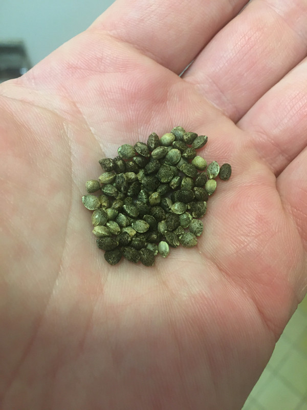 1E66F8D7-CDE0-49CD-B85B-4B71C93DCB06