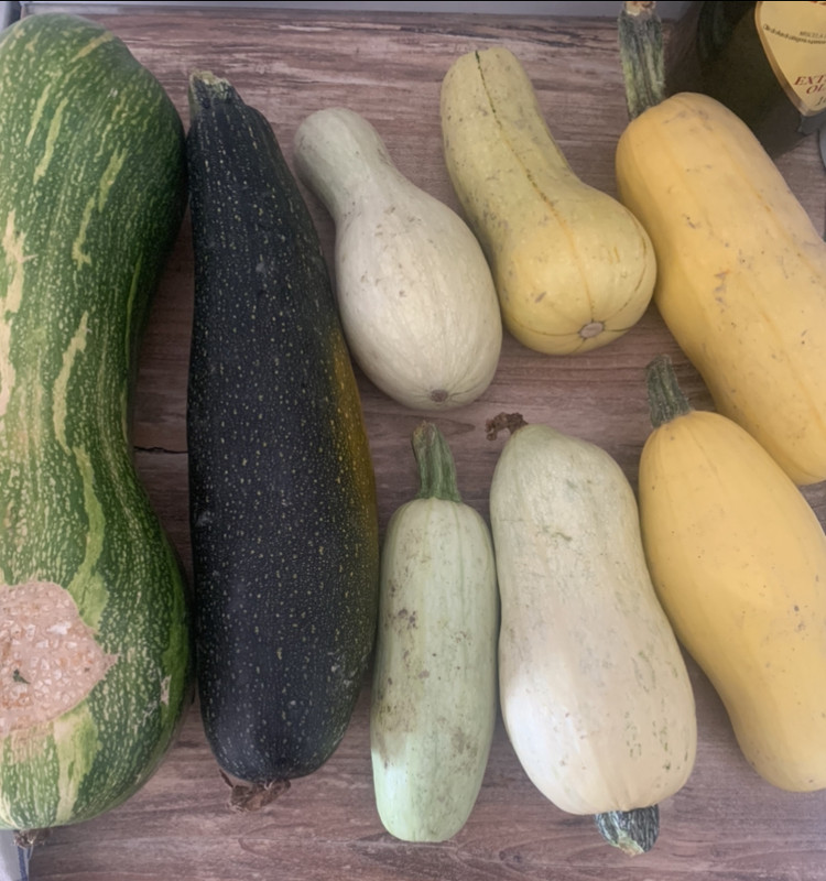 DEF12C9D-7BE3-42C2-BEC7-2DFA79747D1F