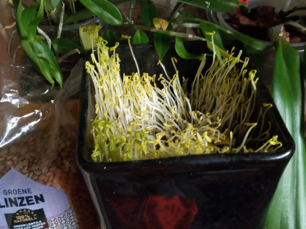 [Image: 20201213-133836.jpg]