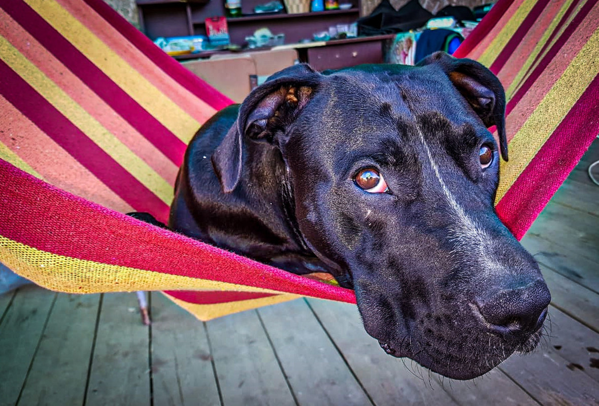 B5CAAB38-633A-4504-B3B7-166B81400F60