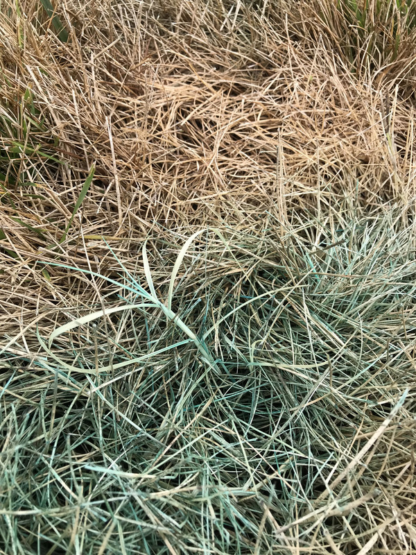 2B5BAB84-2A09-449E-A8AE-AB22C3ABED38