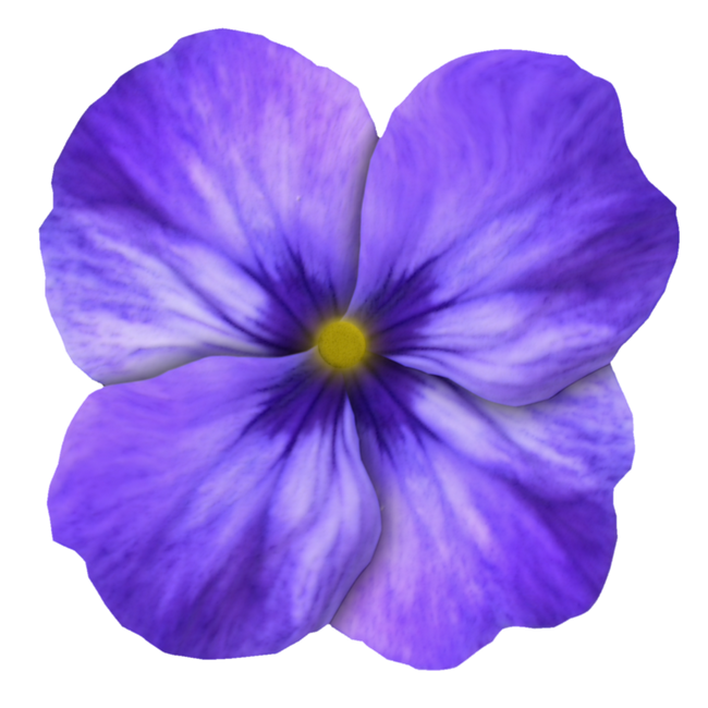 GlamourGirl_MM_Element (129)