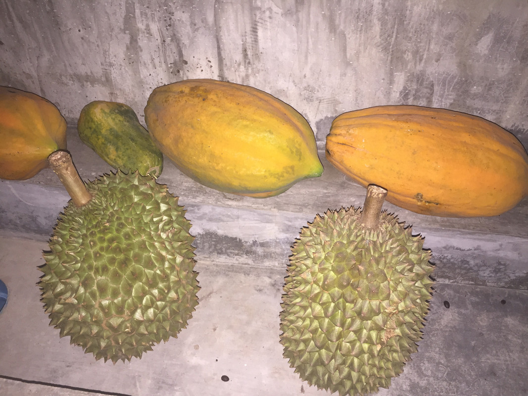 B562B95C-16A6-4179-87BC-9EC782DC9567