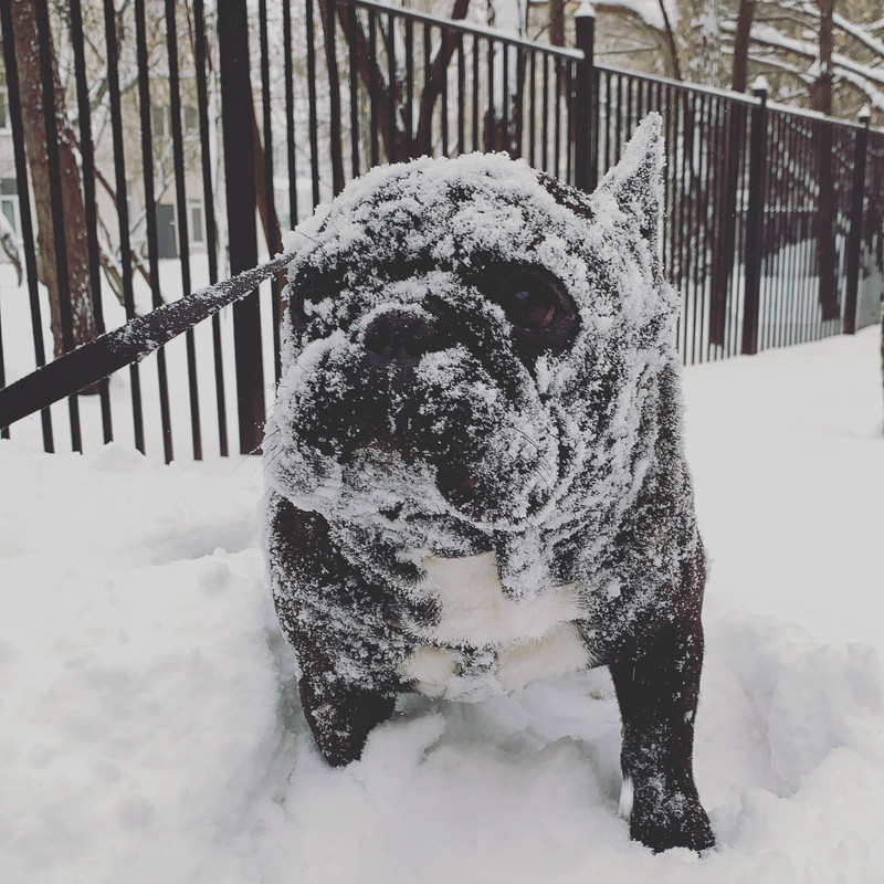 379E5523-00A8-4154-9748-094B06D22C46