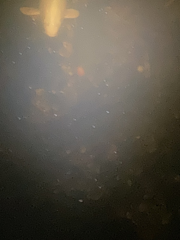 097DDC85-C793-4AA3-AEA8-DD30408A9B06