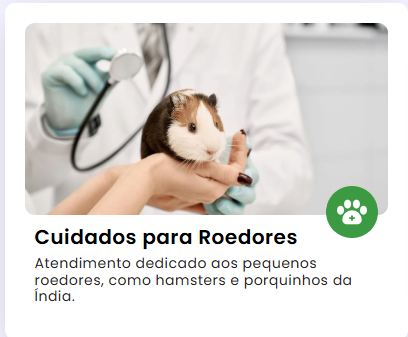 Imagem 5